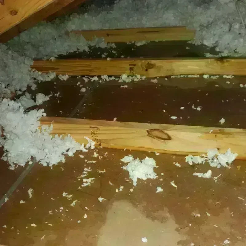 Attic Water Damage in Medford, OR