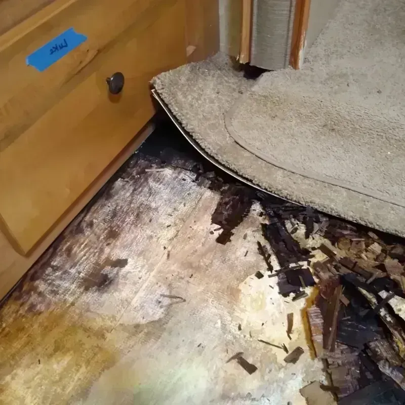 Wood Floor Water Damage in Medford, OR